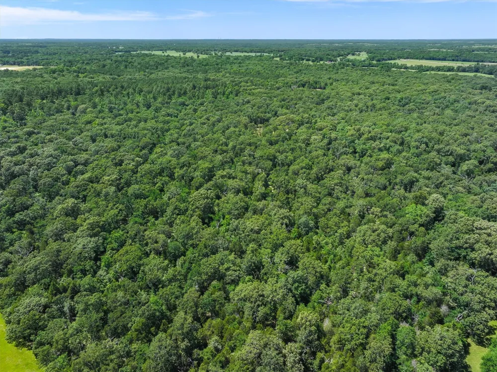 Pvt. Rd 8079 Road Ben Wheeler, TX 75754