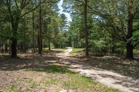 Pvt. Rd 8079 Road