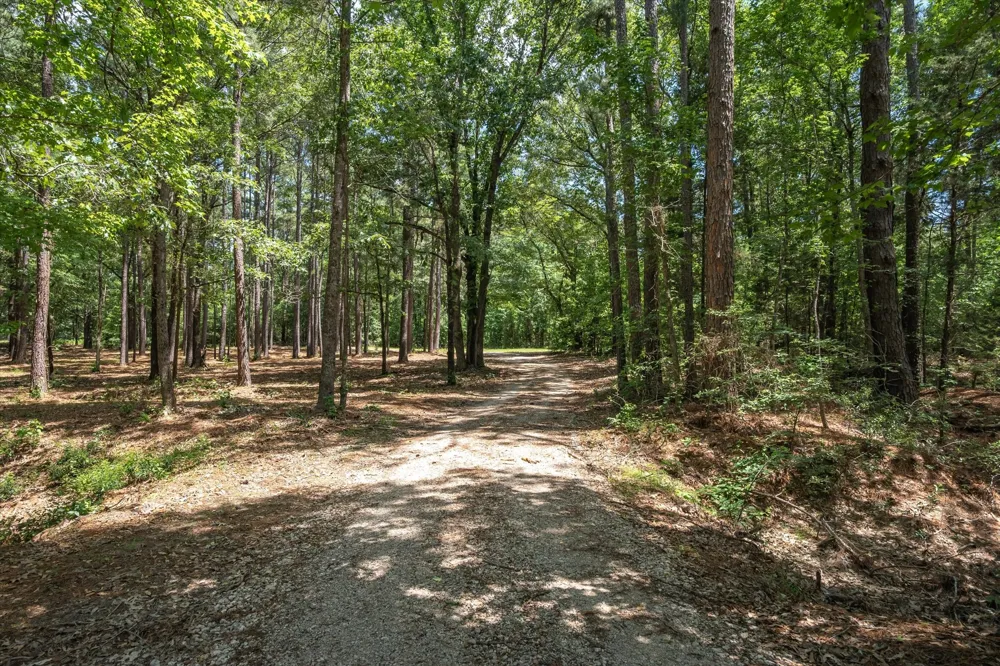 Pvt. Rd 8079 Road Ben Wheeler, TX 75754