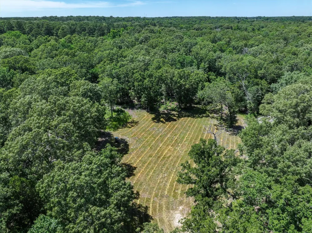 Pvt. Rd 8079 Road Ben Wheeler, TX 75754