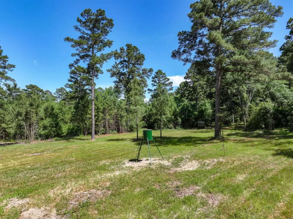 Pvt. Rd 8079 Road Ben Wheeler, TX 75754