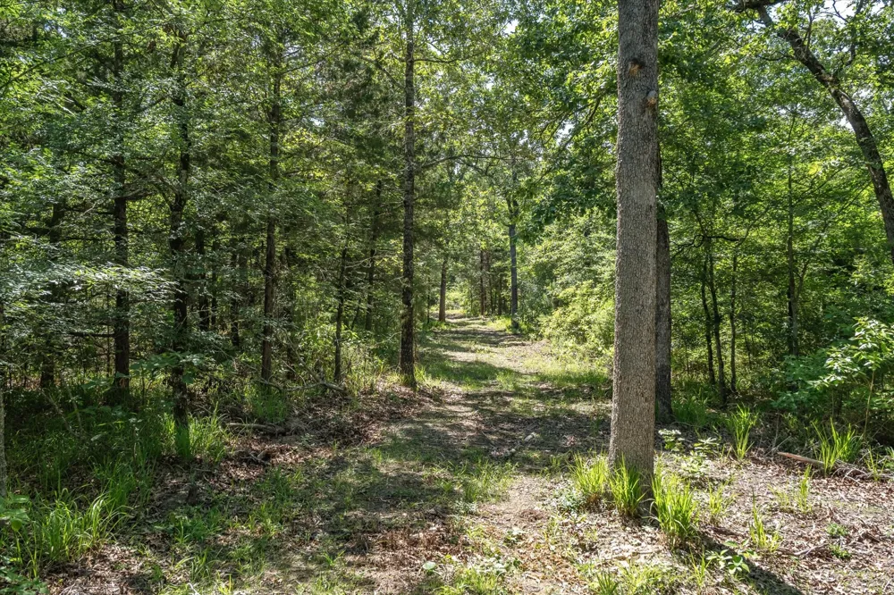 Pvt. Rd 8079 Road Ben Wheeler, TX 75754