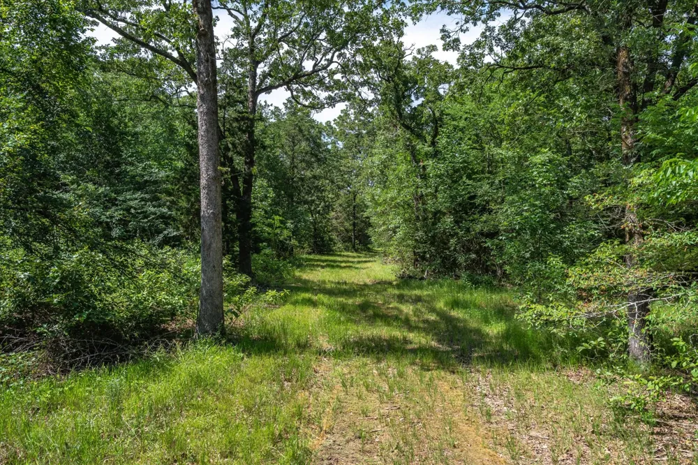 Pvt. Rd 8079 Road Ben Wheeler, TX 75754