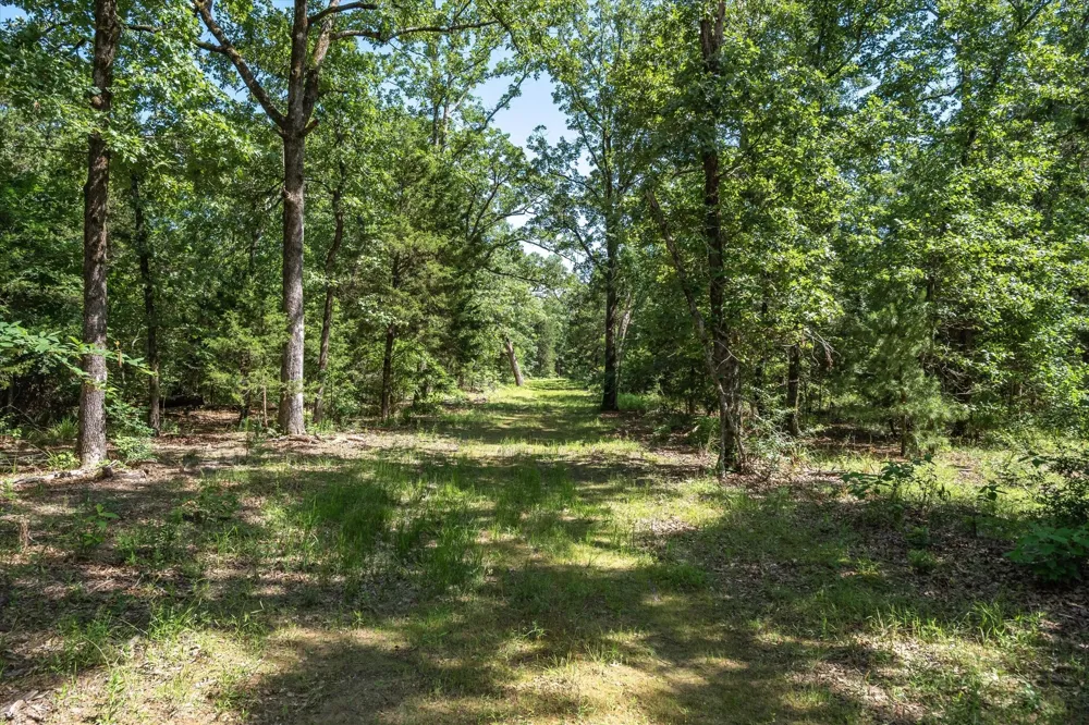 Pvt. Rd 8079 Road Ben Wheeler, TX 75754