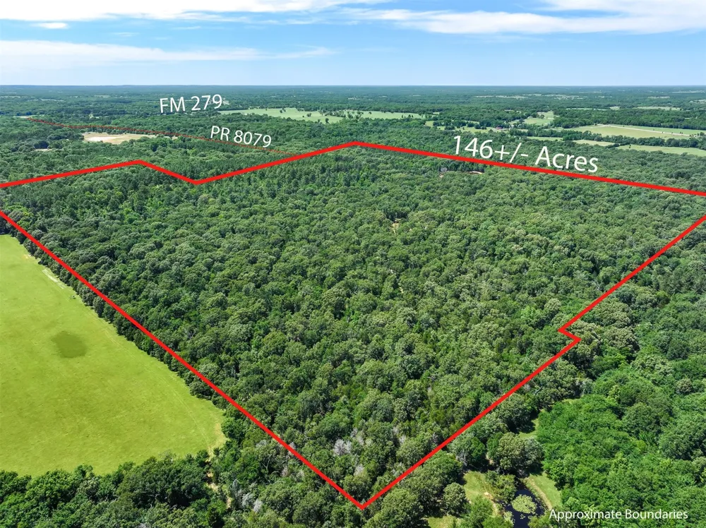 Pvt. Rd 8079 Road Ben Wheeler, TX 75754