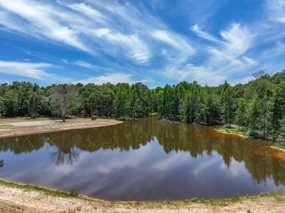 Pvt. Rd 8079 Road Ben Wheeler, TX 75754