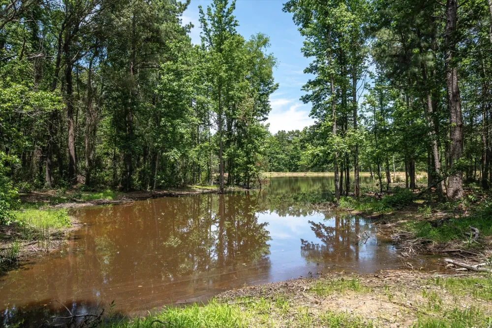 Pvt. Rd 8079 Road Ben Wheeler, TX 75754