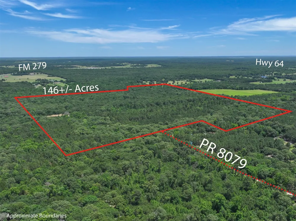 Pvt. Rd 8079 Road Ben Wheeler, TX 75754