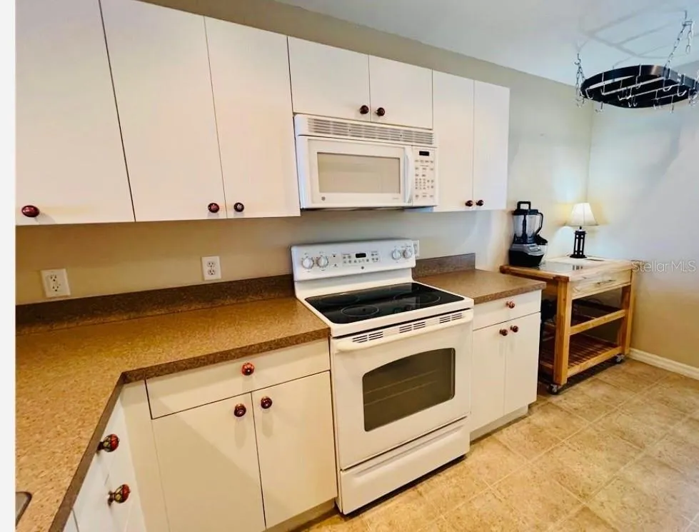 1457 SAN CRISTOBAL AVENUE #3203 Punta Gorda, FL 33983