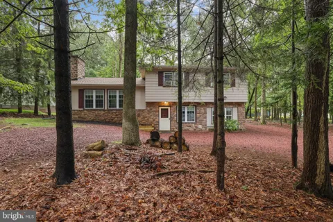 14 SASSAFRAS ROAD
