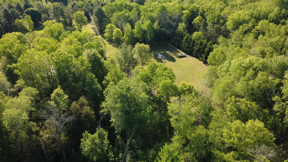 17639 20th Avenue Marion, MI 49665