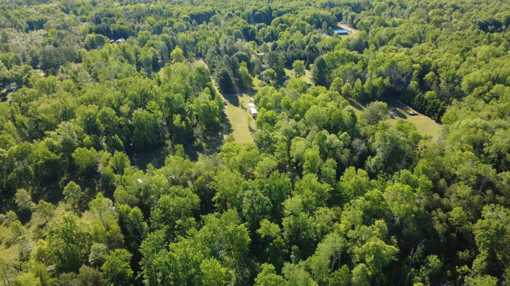 17639 20th Avenue Marion, MI 49665