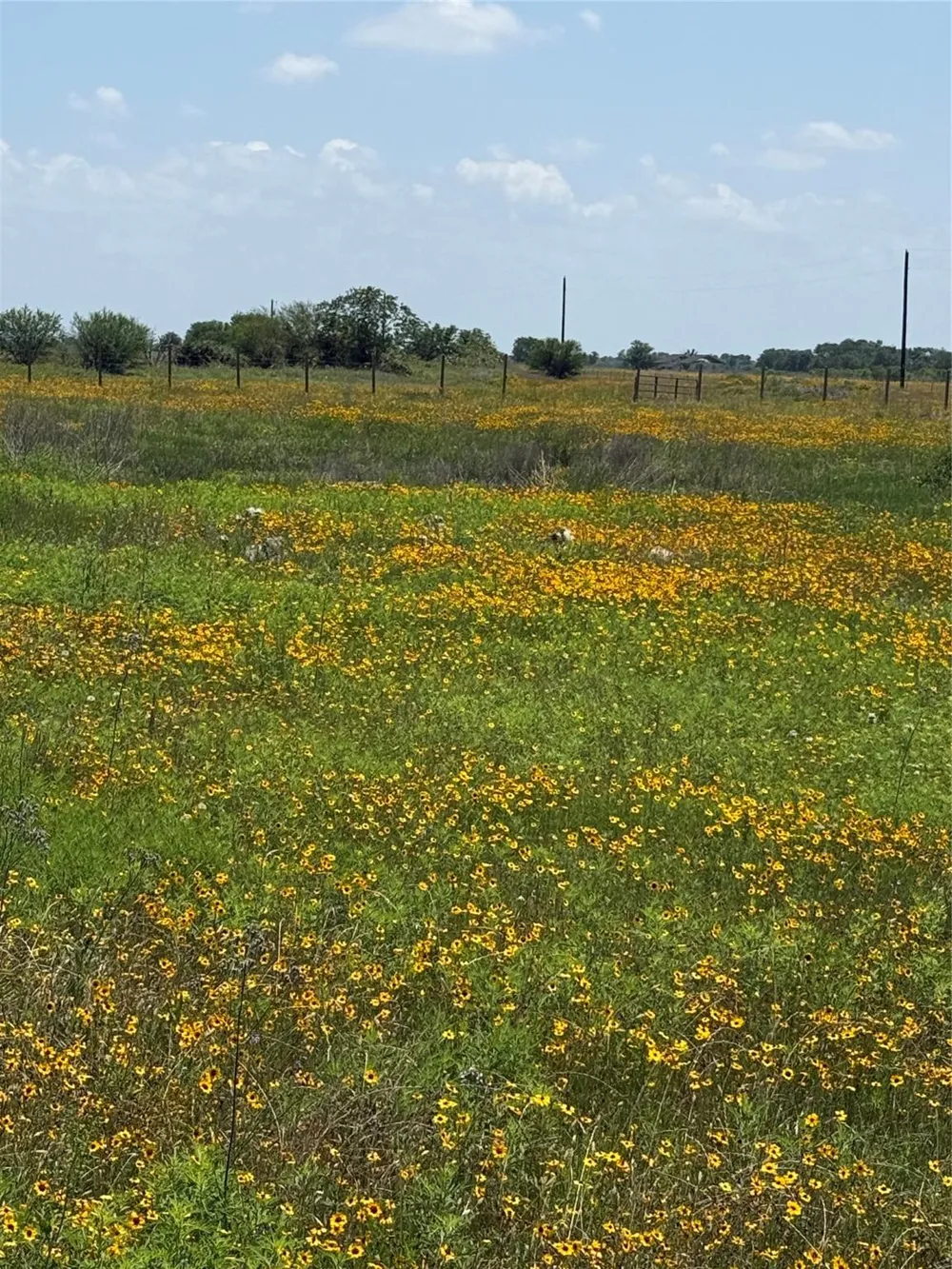 1993 Fm 2761 Cat Spring, TX 78933
