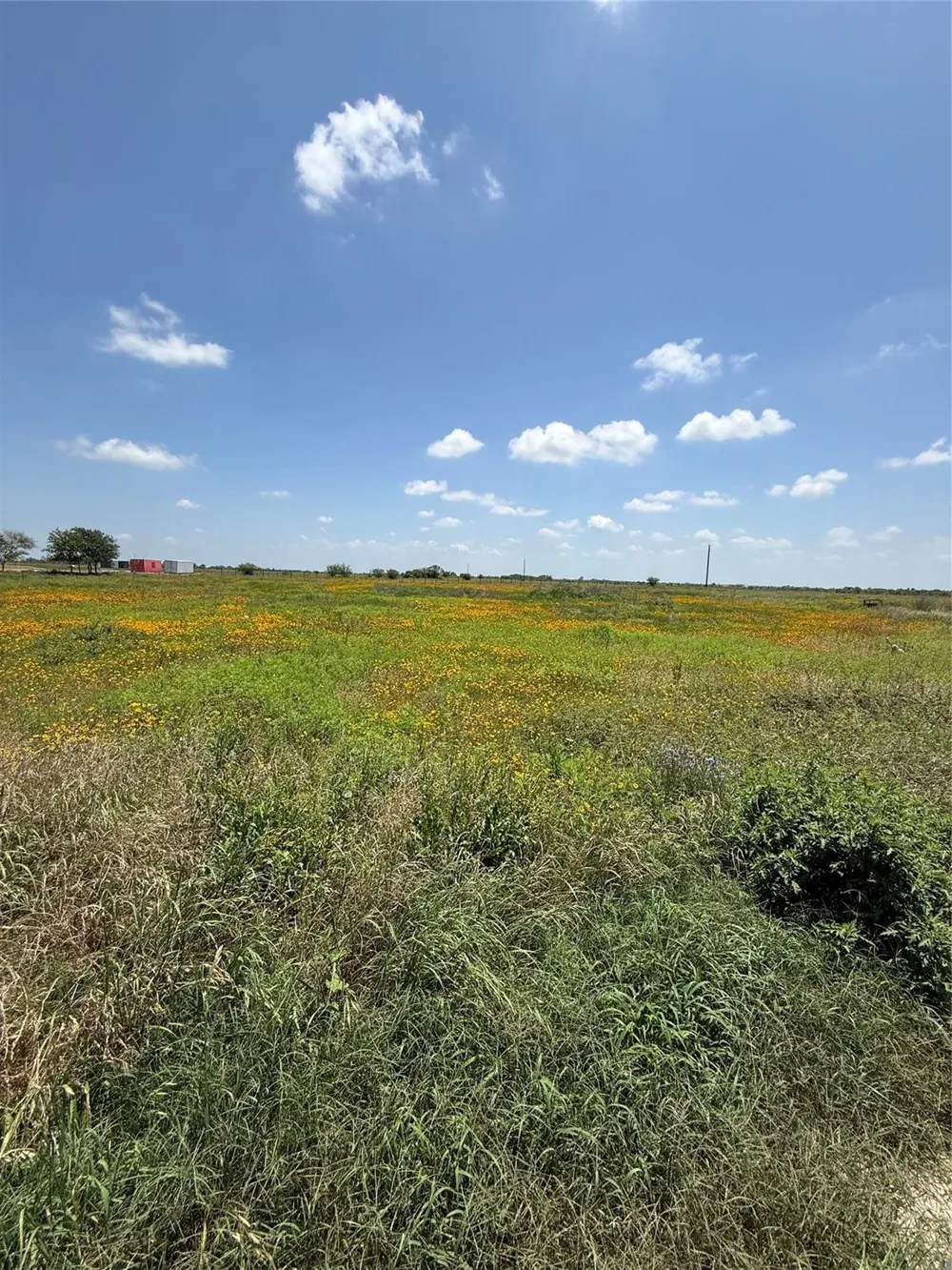 1993 Fm 2761 Cat Spring, TX 78933