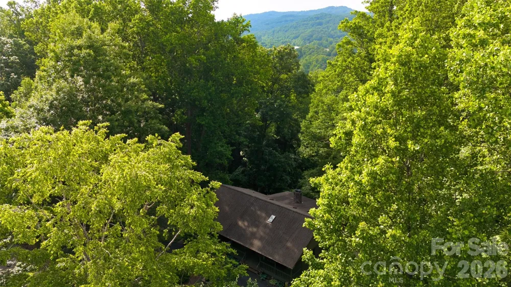 383 Ravenwood Lane Horse Shoe, NC 28742