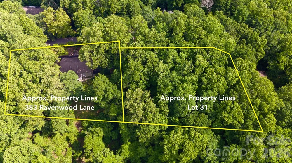383 Ravenwood Lane Horse Shoe, NC 28742