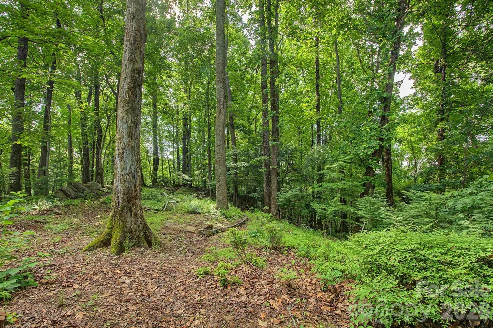 383 Ravenwood Lane Horse Shoe, NC 28742