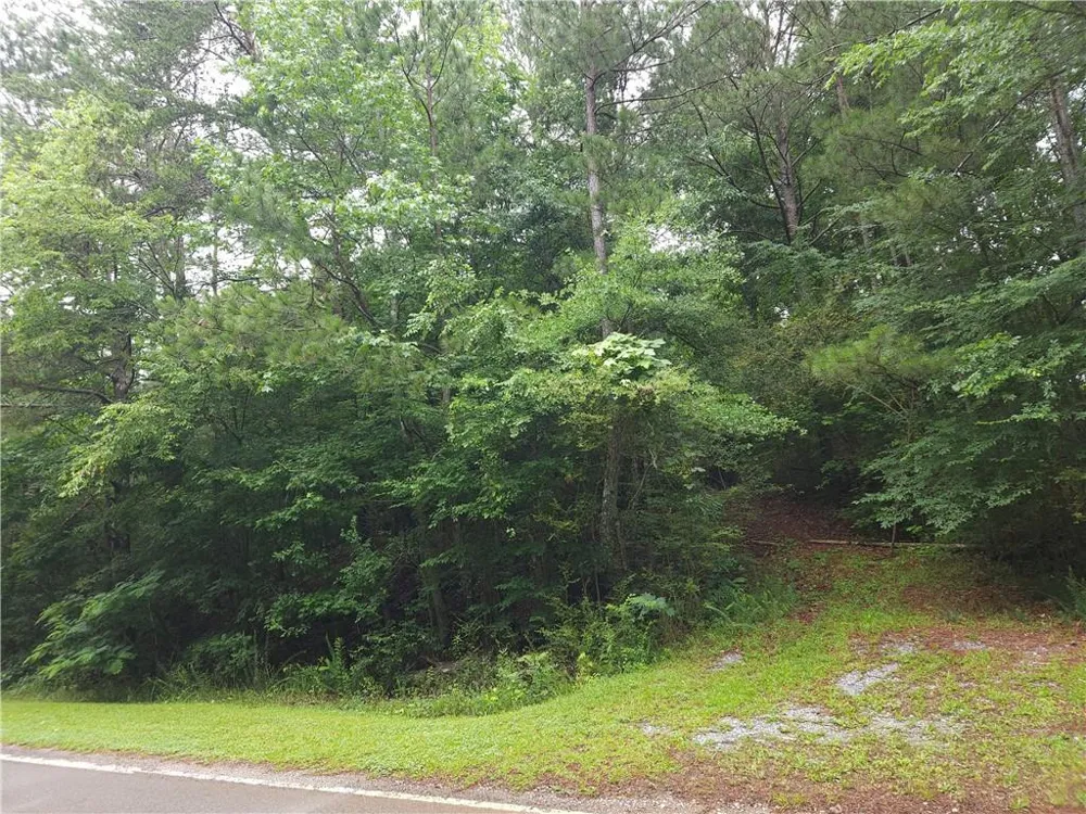 0 Potash Road Cedartown, GA 30125