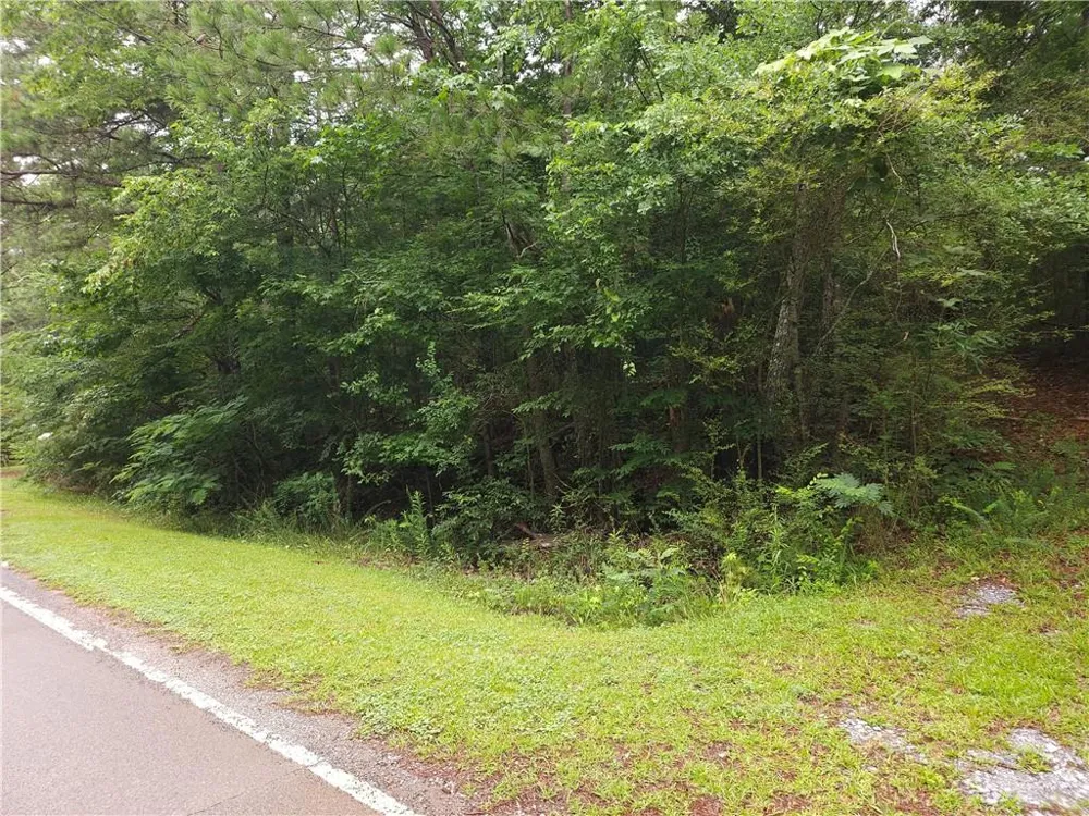 0 Potash Road Cedartown, GA 30125
