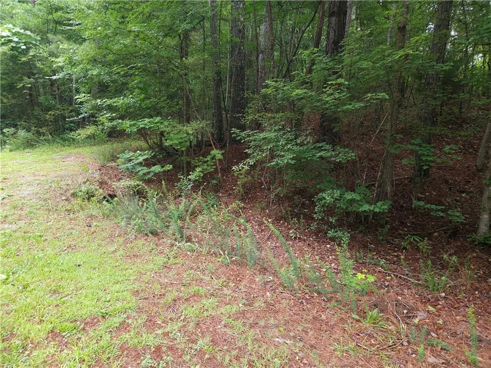 0 Potash Road Cedartown, GA 30125