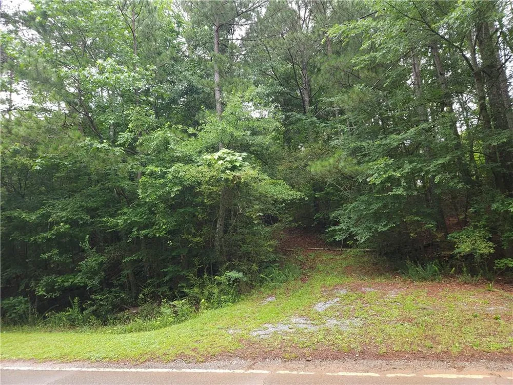 0 Potash Road Cedartown, GA 30125