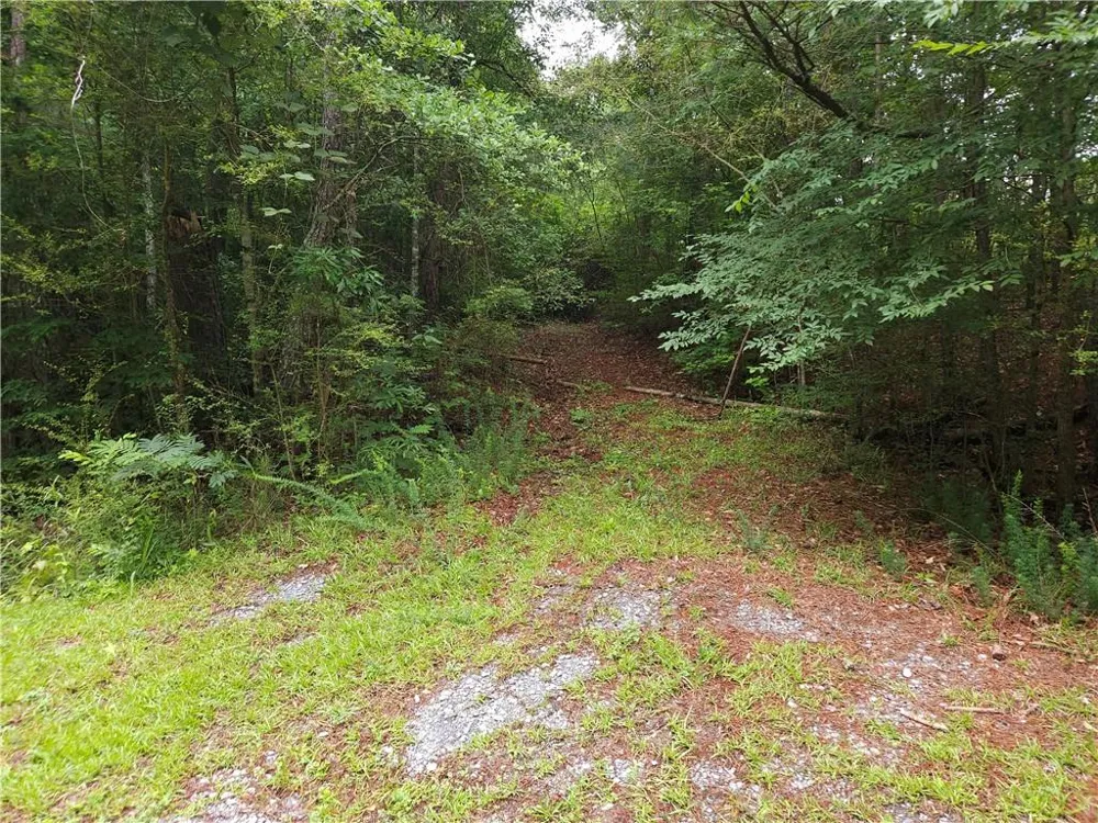 0 Potash Road Cedartown, GA 30125