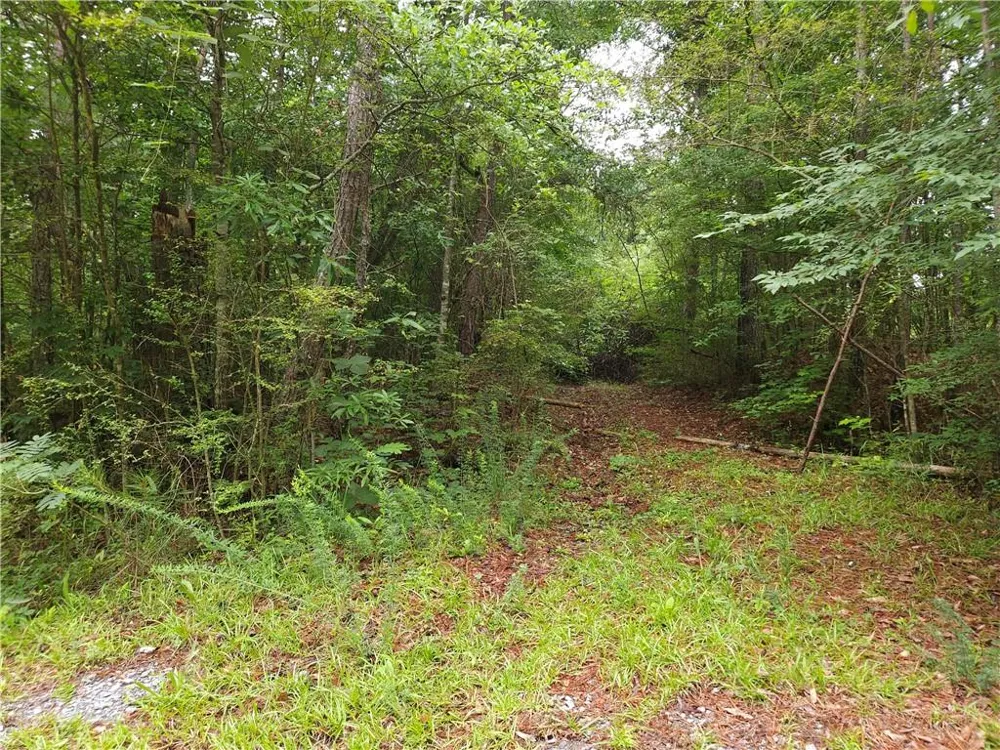 0 Potash Road Cedartown, GA 30125