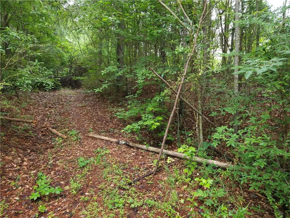 0 Potash Road Cedartown, GA 30125