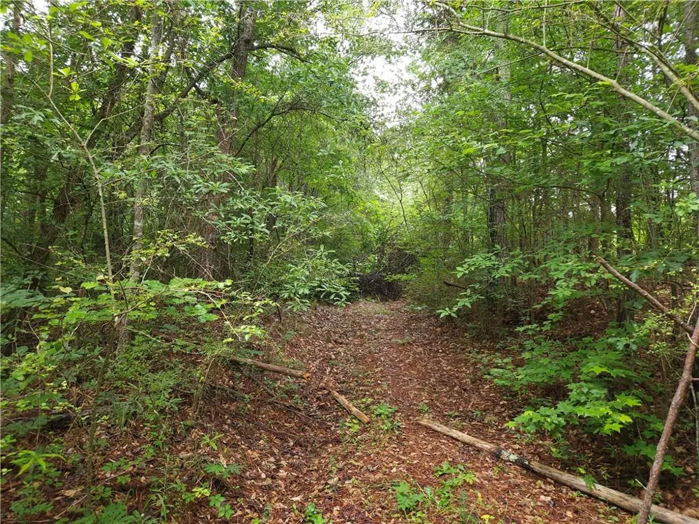 0 Potash Road Cedartown, GA 30125