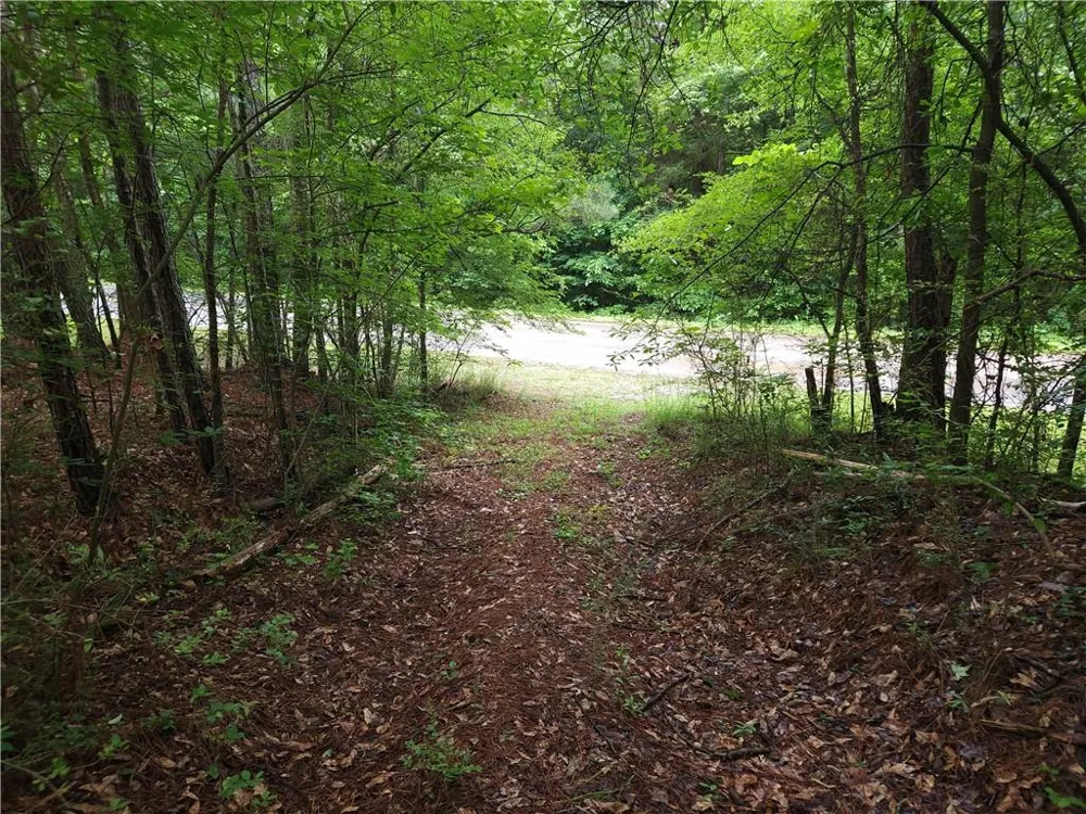 0 Potash Road Cedartown, GA 30125