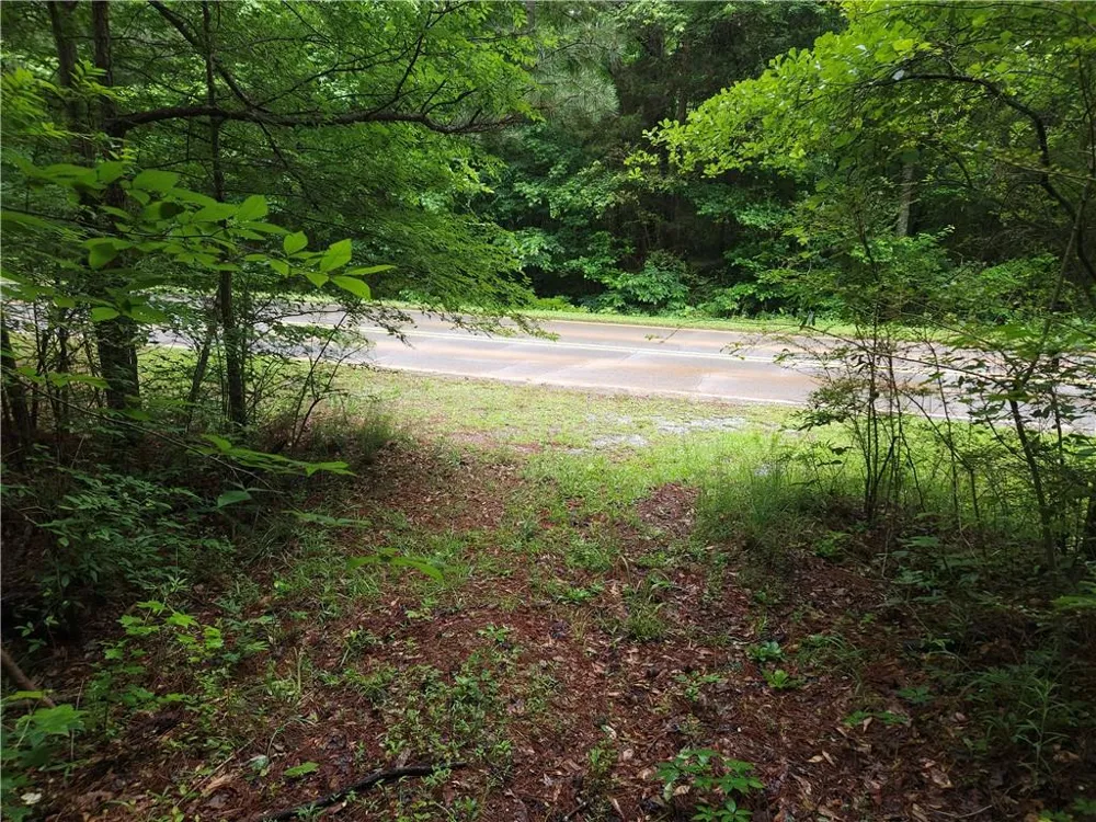 0 Potash Road Cedartown, GA 30125