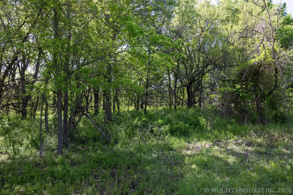 26 SE Lenapah Street Skiatook, OK 74070