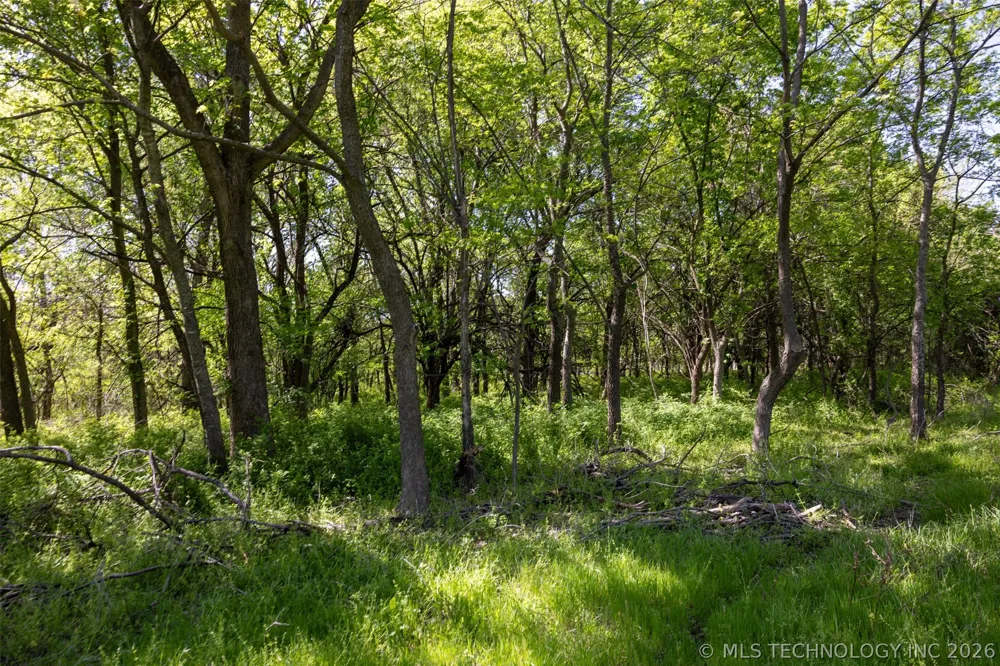 26 SE Lenapah Street Skiatook, OK 74070