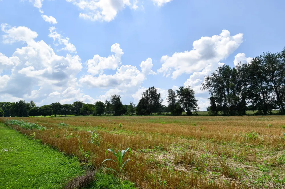 135 Old Hwy 52W Portland, TN 37148