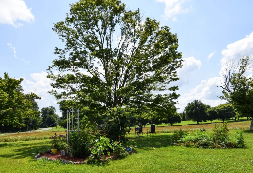 135 Old Hwy 52W Portland, TN 37148