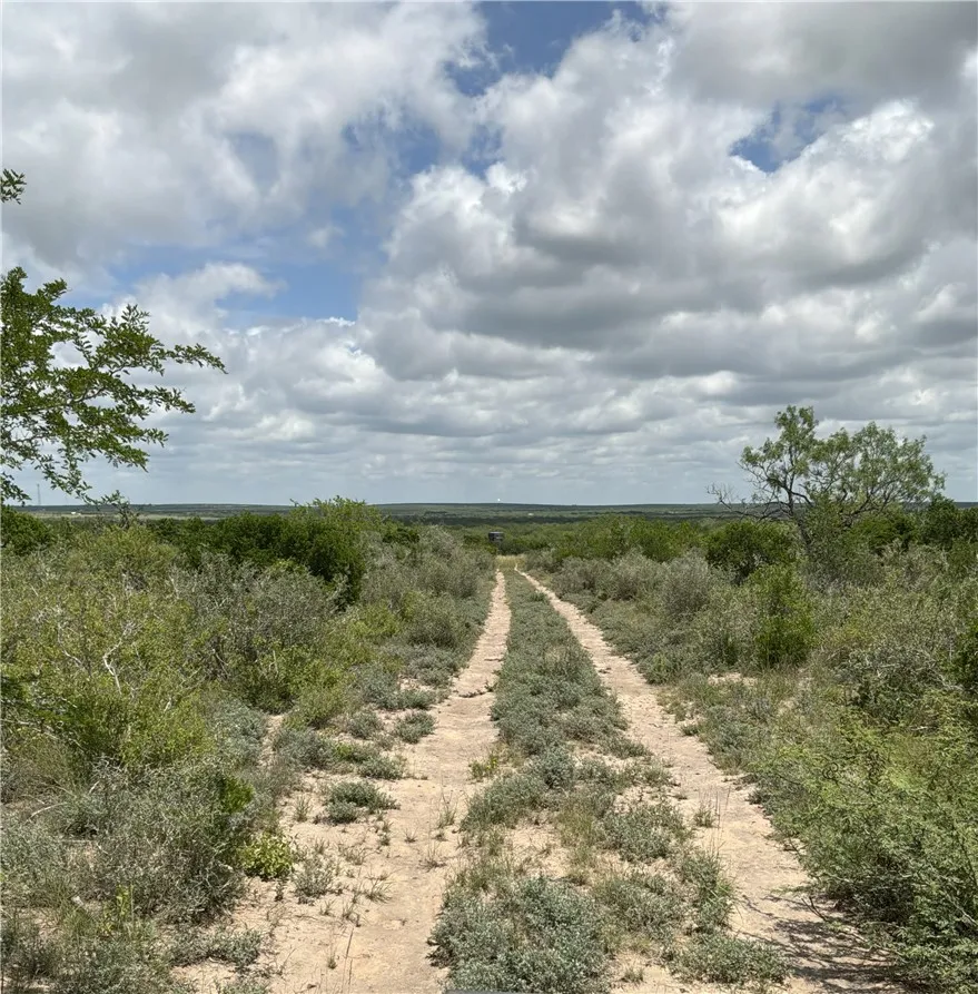 Private Road San Diego, TX 78384