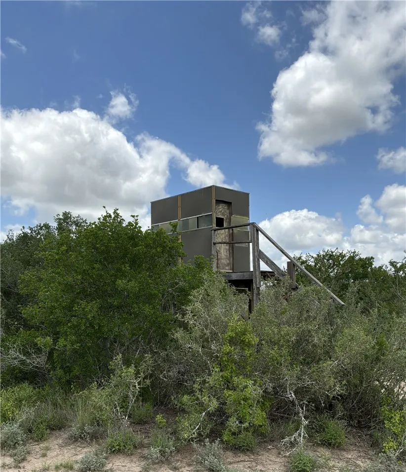 Private Road San Diego, TX 78384