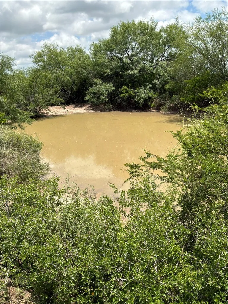 Private Road San Diego, TX 78384