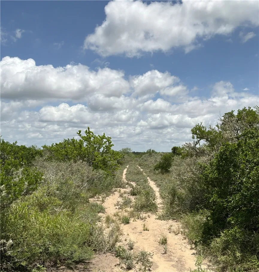 Private Road San Diego, TX 78384