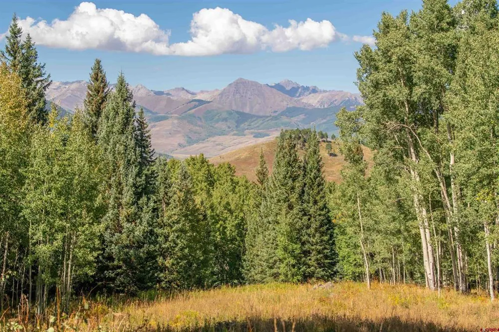 794 Red Mountain Ranch Lower Loop Crested Butte, CO 81224
