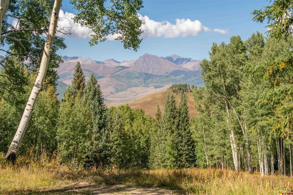 794 Red Mountain Ranch Lower Loop Crested Butte, CO 81224