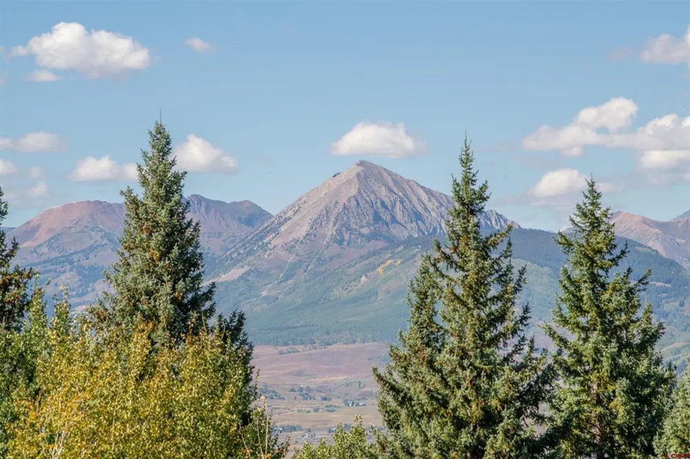 794 Red Mountain Ranch Lower Loop Crested Butte, CO 81224
