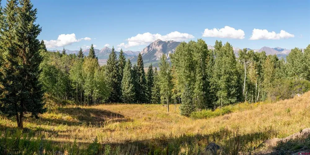 794 Red Mountain Ranch Lower Loop Crested Butte, CO 81224