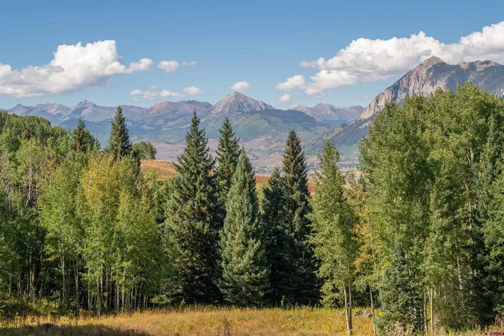 794 Red Mountain Ranch Lower Loop Crested Butte, CO 81224
