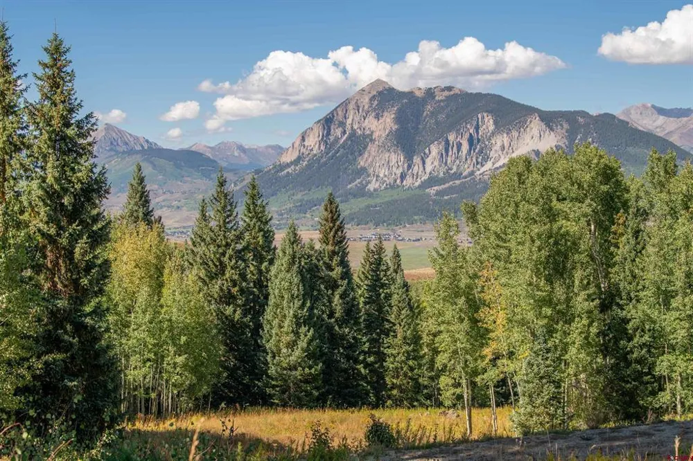 794 Red Mountain Ranch Lower Loop Crested Butte, CO 81224