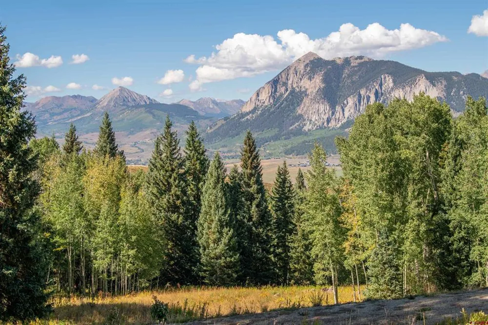 794 Red Mountain Ranch Lower Loop Crested Butte, CO 81224