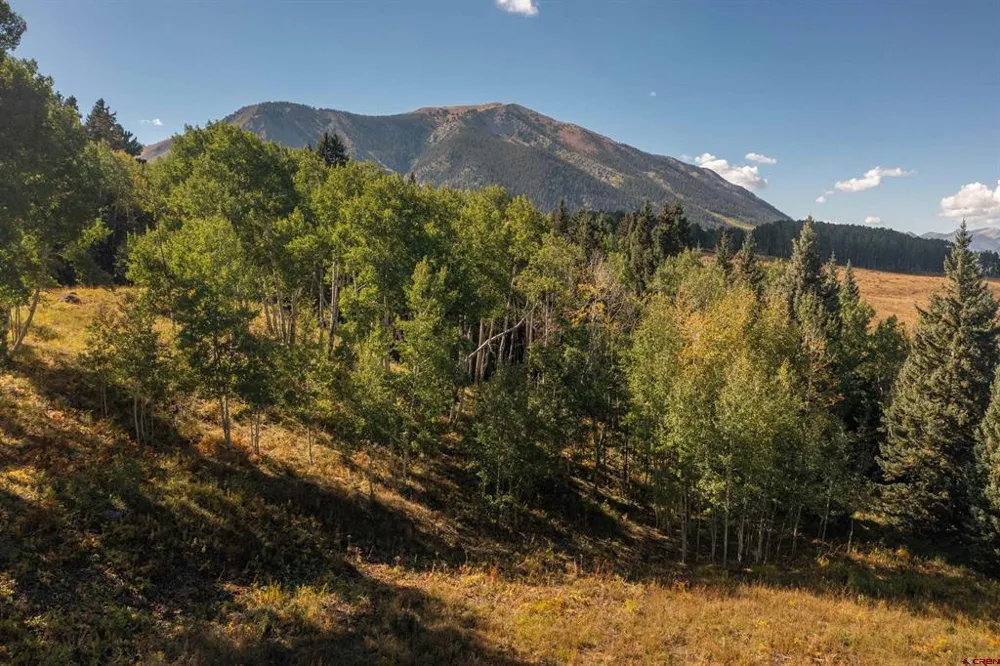 794 Red Mountain Ranch Lower Loop Crested Butte, CO 81224