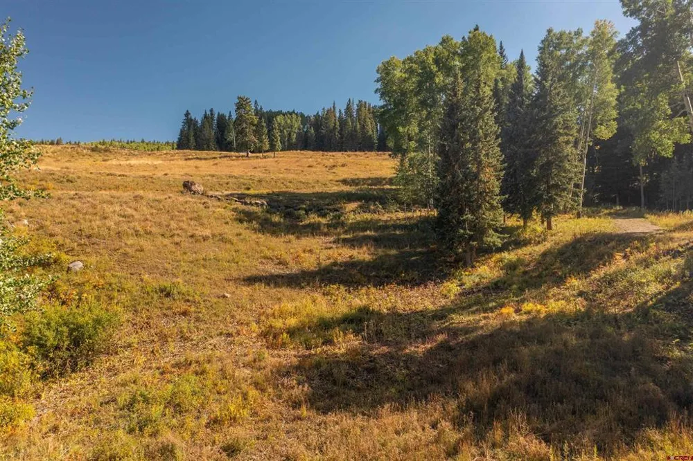794 Red Mountain Ranch Lower Loop Crested Butte, CO 81224