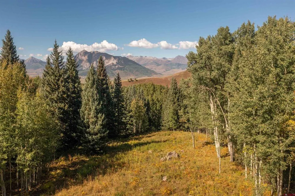 794 Red Mountain Ranch Lower Loop Crested Butte, CO 81224