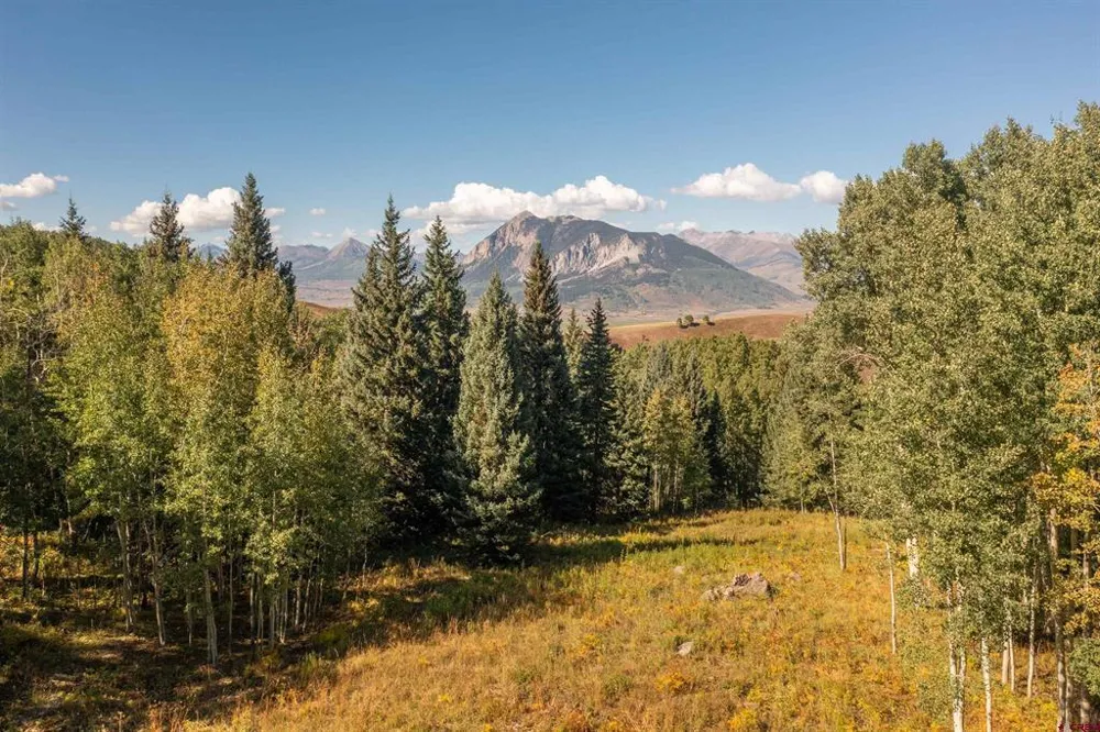 794 Red Mountain Ranch Lower Loop Crested Butte, CO 81224